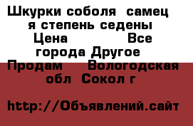 Шкурки соболя (самец) 1-я степень седены › Цена ­ 12 000 - Все города Другое » Продам   . Вологодская обл.,Сокол г.